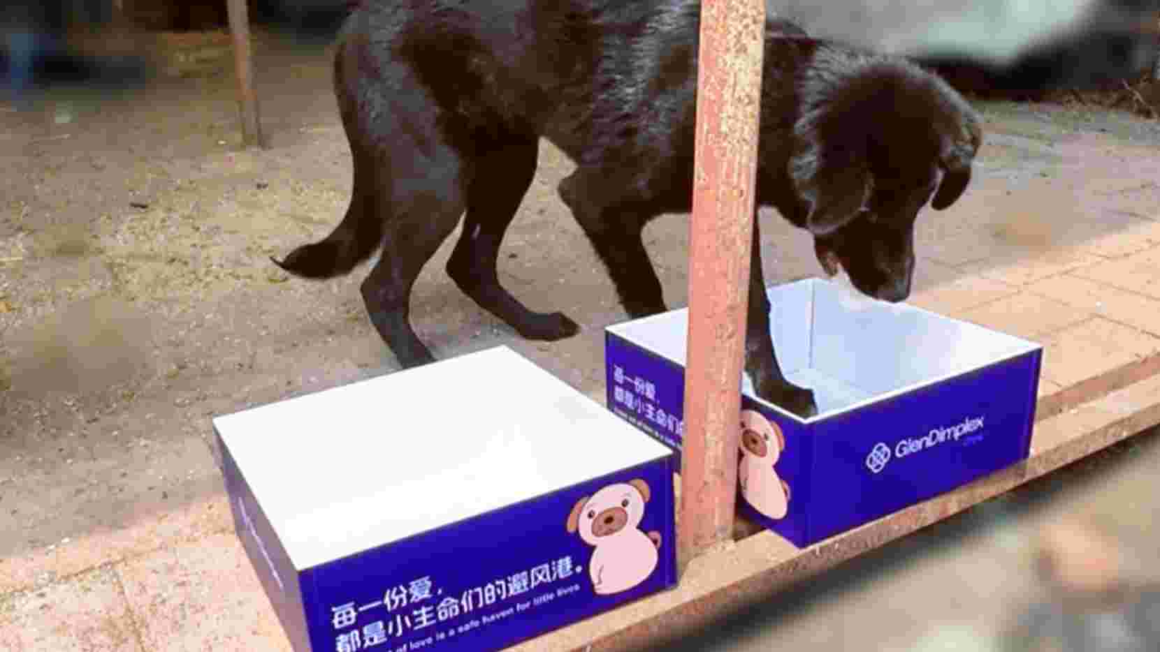 微信图片_2025-08-05_091514_631.jpg